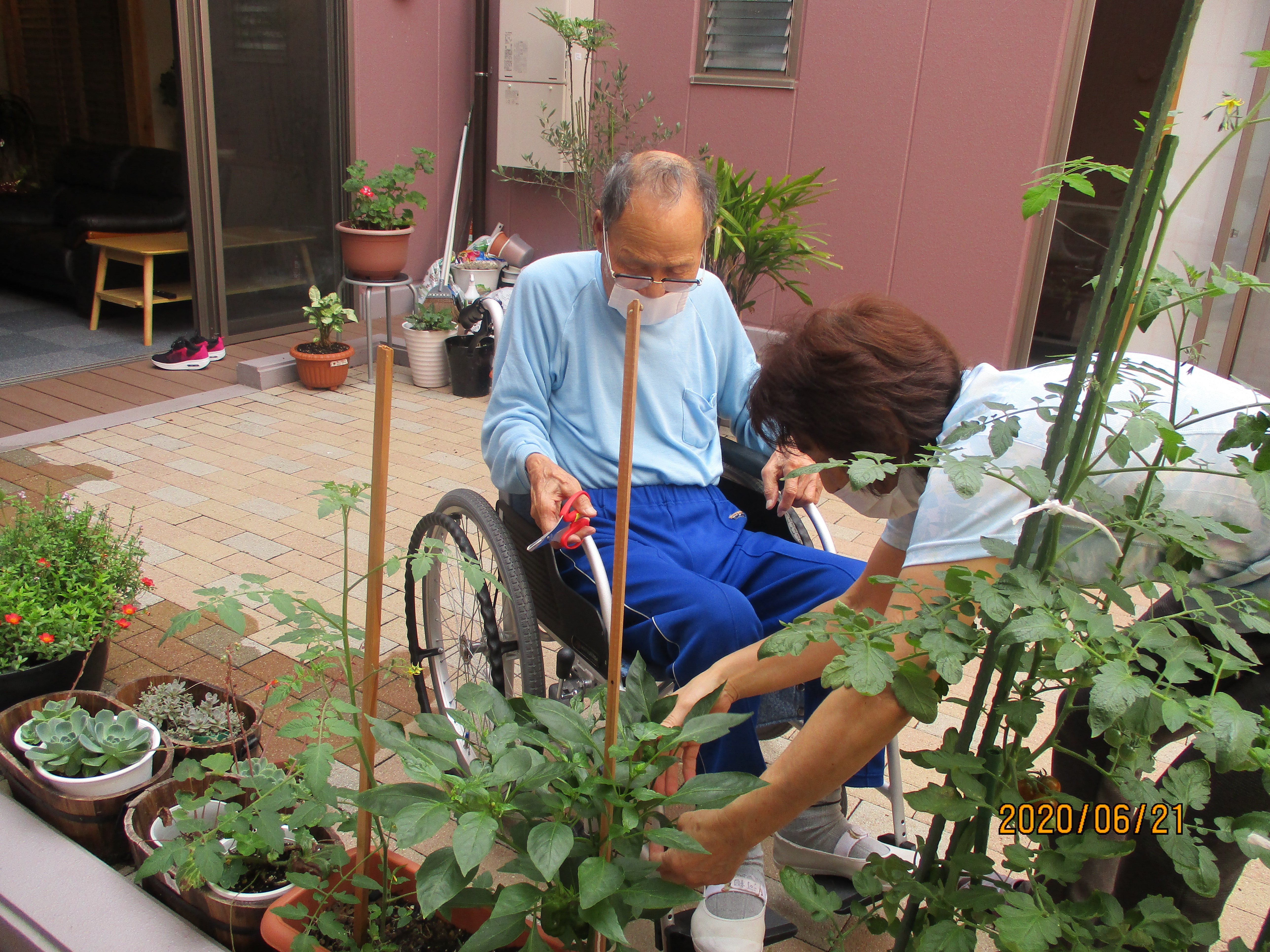 普段の生活・見守りやすさ